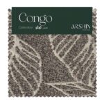 CONGO 763